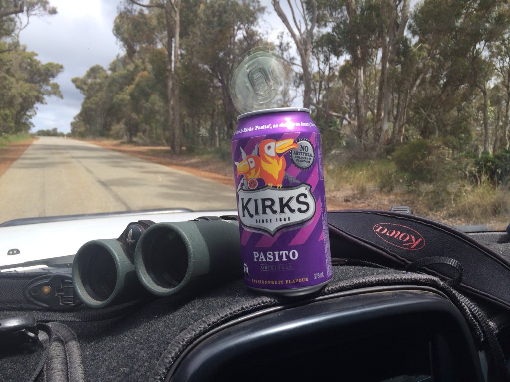 theruffknights's tweet photo. Saturday's cancelled pelagic = Albany big day #WATwitchathon recce? Who knows! We did get 110 sp. incl. 3 skulkers https://t.co/rwNlEUiA9d