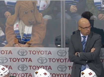 CBSSportsNHL's tweet photo. LOOK: The visitors' bench in Winnipeg can be a strange place. Now there's a dog https://t.co/e5XABsIvqk via @mremis https://t.co/0fRJf9l1LF