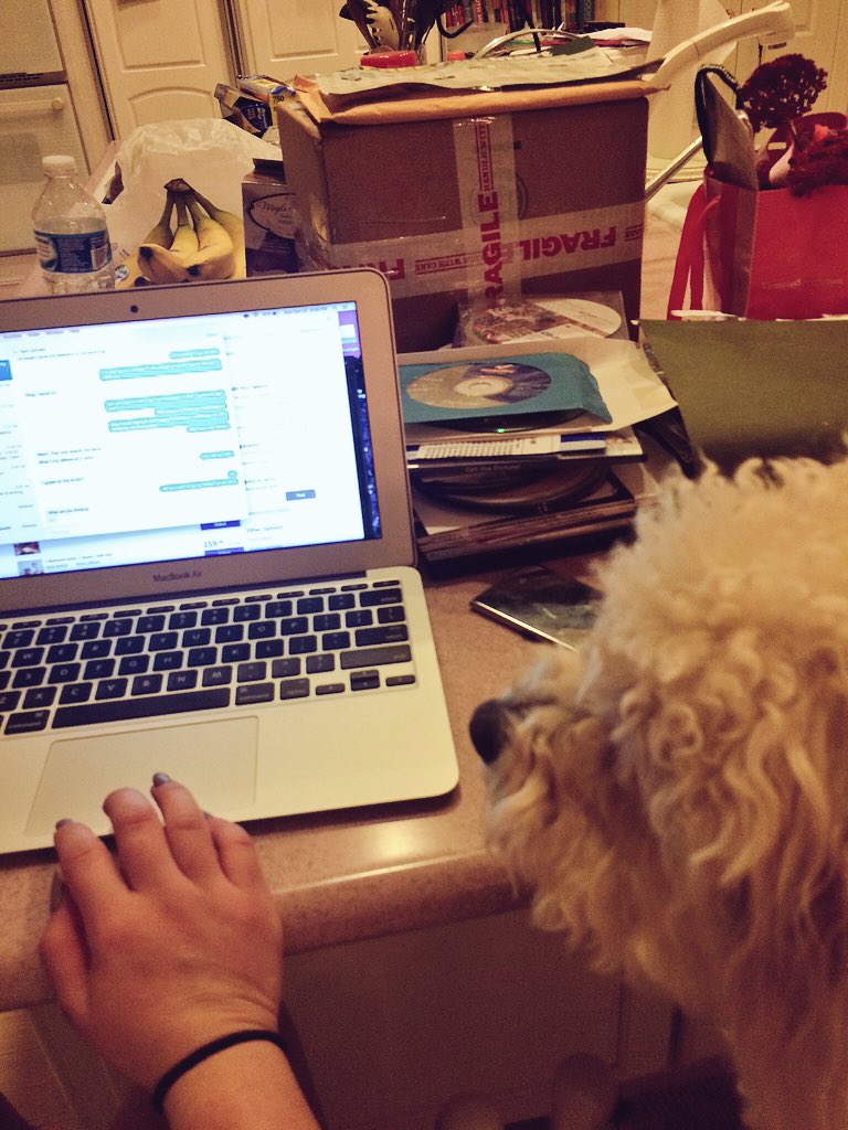 RileyAvil's tweet photo. helping @Sierra_Soo plan important stuff 💻🐾 https://t.co/QVCDjF5vlC