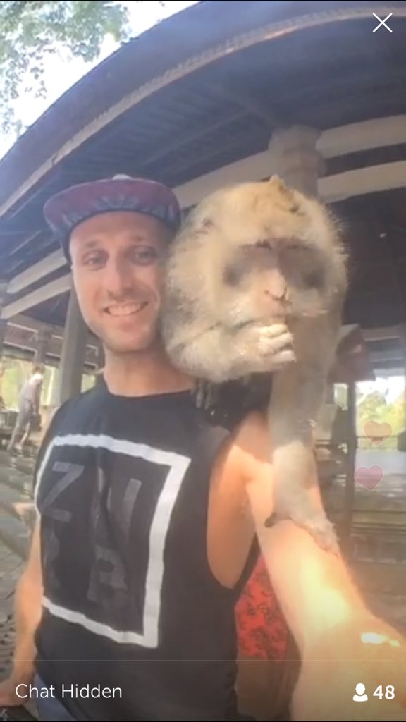 thomasmattUK's tweet photo. @DANandMOORE check out Mitch lol. #monkeyback #epic https://t.co/84MzJaWUPC