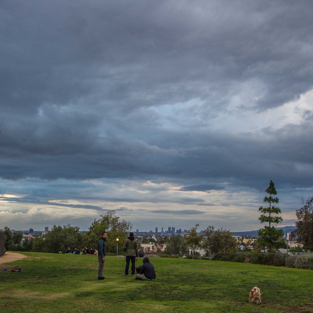 civilmatador's tweet photo. A cloudy sunset in LA…I love this weather. @barnsdall #LAOutside #sunset #losangeles https://t.co/1Hv31gir3t