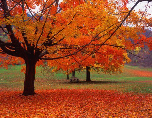 Nuc_Jonas's tweet photo. @goodgoodgreen1 It sure doesn't look like you've been stackin dat green, looks like you've been lackin #fall https://t.co/8gZsNSCTB2