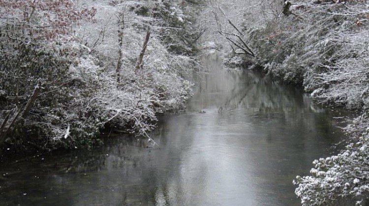 Here's a picture of our park during the cold winter
#winter #seasonalpic #frozenlake #averageclimate