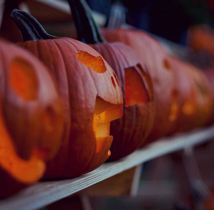 connecticutgram's tweet photo. Parmelee Farm in Killingworth. See more photos at https://t.co/liMZic4Xt7 and https://t.co/Bwh8SUdAxg. https://t.co/Tn40rG86Ih