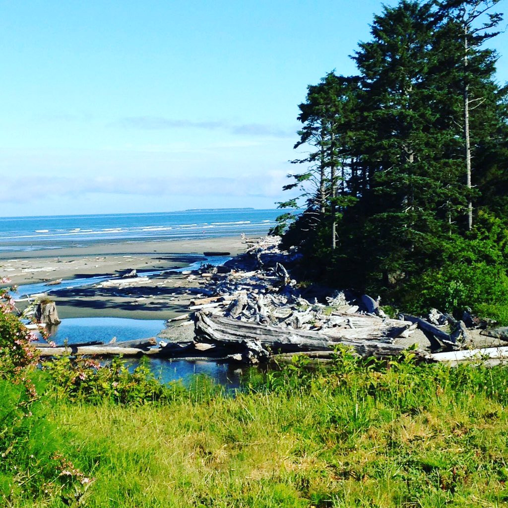 JanetNewman8's tweet photo. @KalalochLodge View from Kalaloch Lodge. June 2015. https://t.co/lXNGUDIgyU