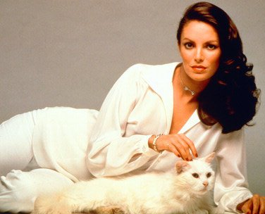Happy Birthday to Charlie\s Angel -  Jaclyn Smith - 69 years young today! 