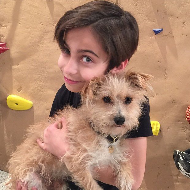 micasimp's tweet photo. @greene_lizzy @AidanRGallagher @BrianStepanek #FluffyLegs #ONELOVE #NRDD #DawnHarper #NickyHarper ♥♥♥☺♦ i love them https://t.co/IfM1RUI0DF