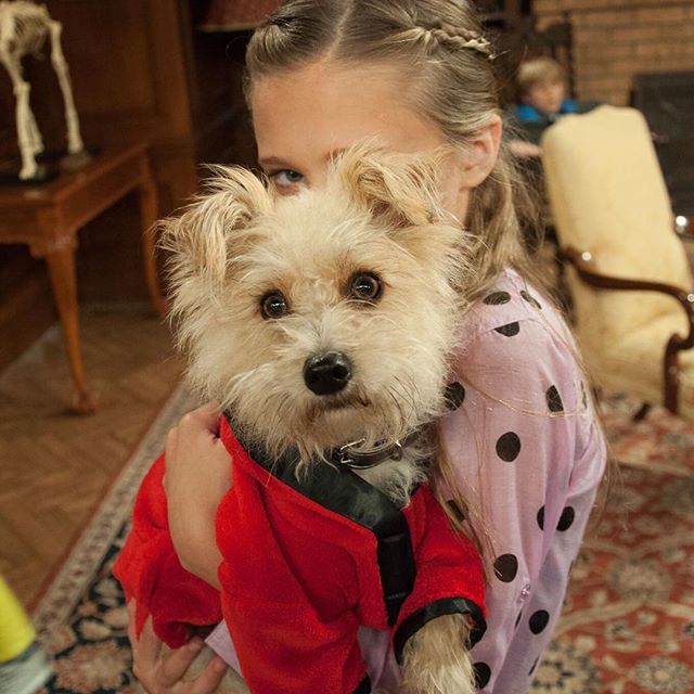 micasimp's tweet photo. @greene_lizzy @AidanRGallagher @BrianStepanek #FluffyLegs #ONELOVE #NRDD #DawnHarper #NickyHarper ♥♥♥☺♦ i love them https://t.co/IfM1RUI0DF