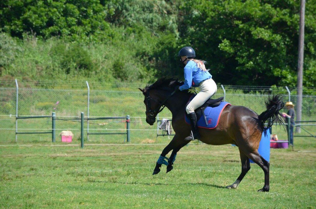 shanniahmcrmy's tweet photo. That Jesus take the wheel moment when your horse keeps pig rooting so you have to finish your event with no stirrups https://t.co/aY0SS2Q29G