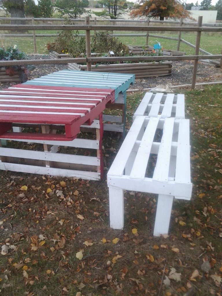 plutosgems's tweet photo. Sunday #DailyWalk (last Sunday) Nice place to sit by the garden behind #HyVee #RePurpsed #UpCycled pallets. https://t.co/RQ9Tfs1AHY