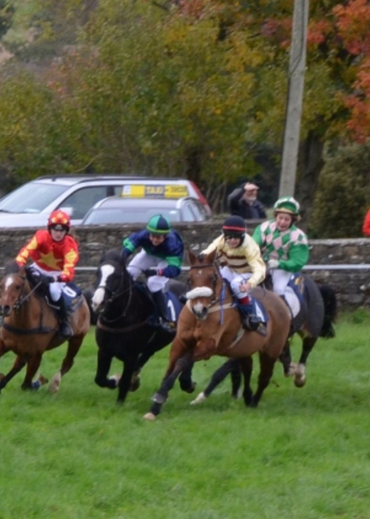 caolac's tweet photo. Great day @DevenishNutri just pipped but delighted  3rd place in the Pony race thanks for  super day Caragh #Oscar https://t.co/d7RLqu5JYV