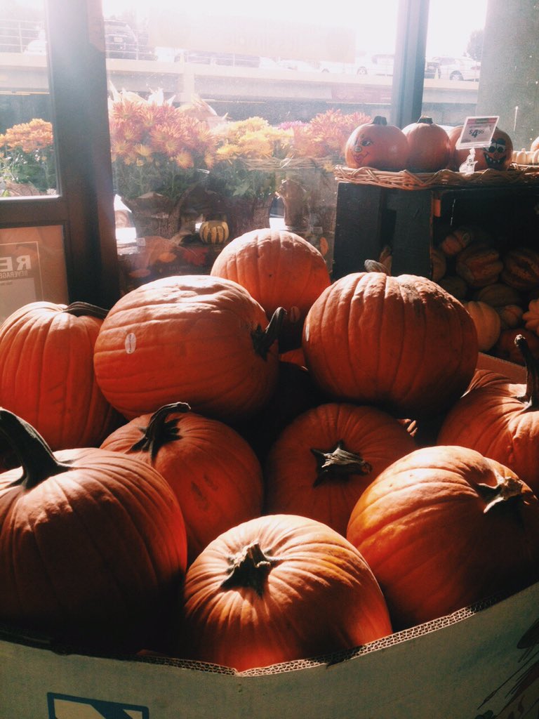 fallblogging tweet picture