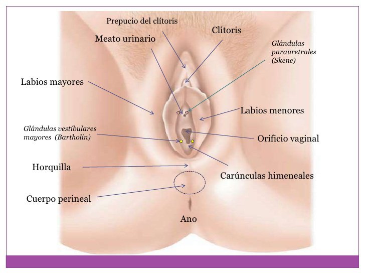 8 prcticas que aumentan la lubricacin vaginal. https://t.co/sxMahwLRSd