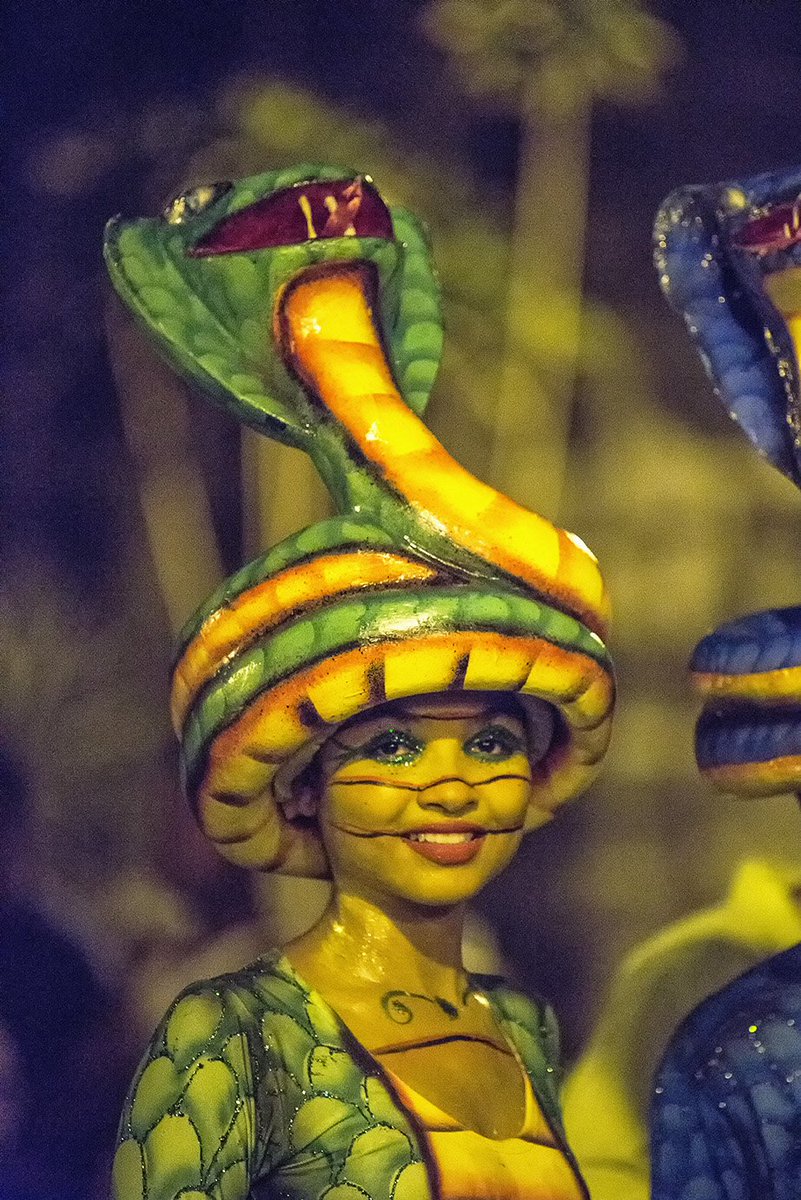 emmanuelGKremer's tweet photo. Independence party, San Diego. Cartagena de Indias. @KRodante @Ipcc_Cartagena #fiestas #independencia #November https://t.co/dwyBg33ZQg