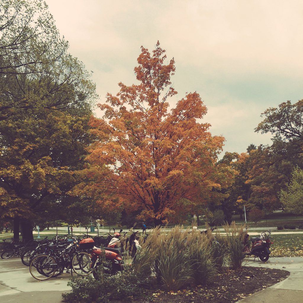 picsofmsu tweet picture
