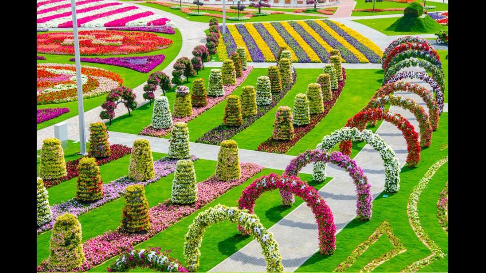 The World on Twitter "Dubai Miracle Garden world's largest natural
