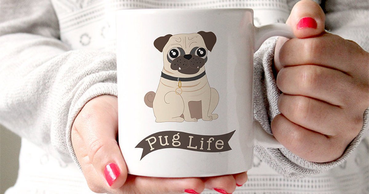 21 things every pug lover desperately needs in their home huff.to/1MKIm8D