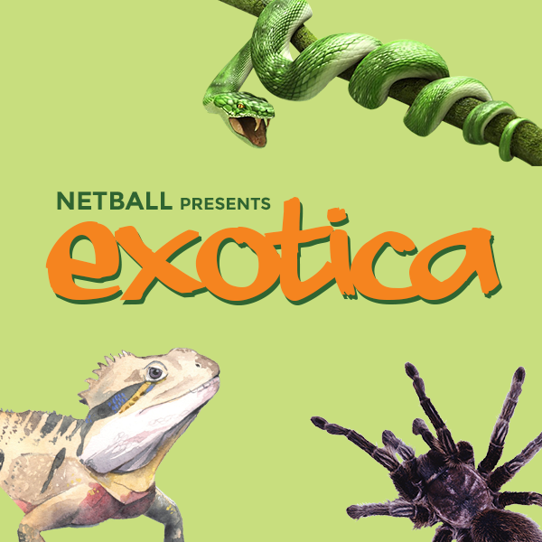 greenwichsu's tweet photo. @UoG_Netball's EXOTICA event tonight! Hold insects, lizards and snakes... if you're brave enough! #uogreenwich https://t.co/n9kXSKZVAA