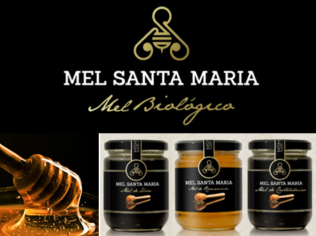 Destinos com Sabor tweet media
