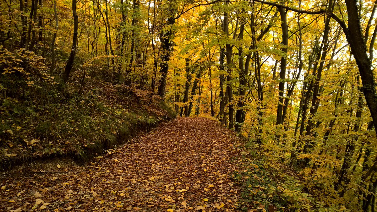 zumberak_sg's tweet photo. #helloautumn from Slani Dol. Just 45 min from A3 Bobovica exit. Discover #Žumberak #Samoborskogorje #NaturePark https://t.co/GgHCiKuK7M