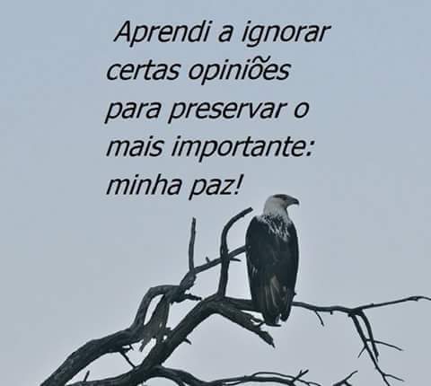 SERGIO TKT🌏🕊 (@sergiotkt12) on Twitter photo 