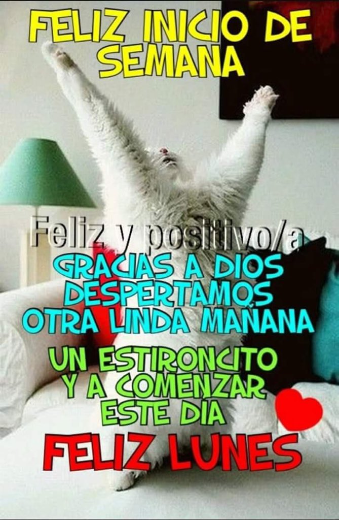 alvaromolinillo's tweet photo. Vamos a x el lunes https://t.co/zblbAZlHLj