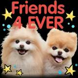 Ashim Haldar oo7 (@haldaroo7) on Twitter photo 