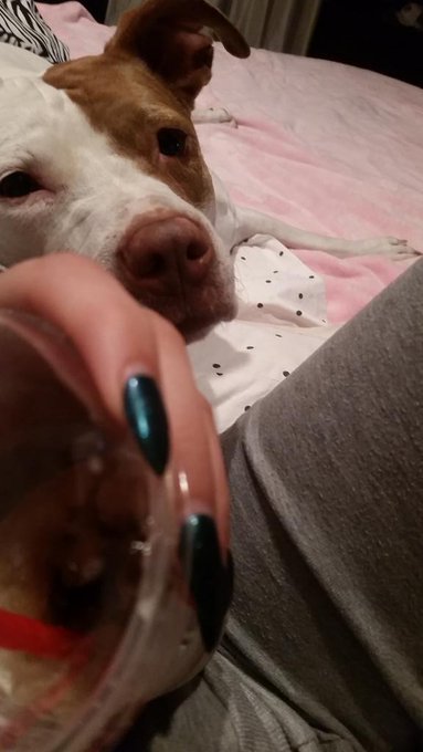 ... can I help you https://t.co/JhVzV2VqdN