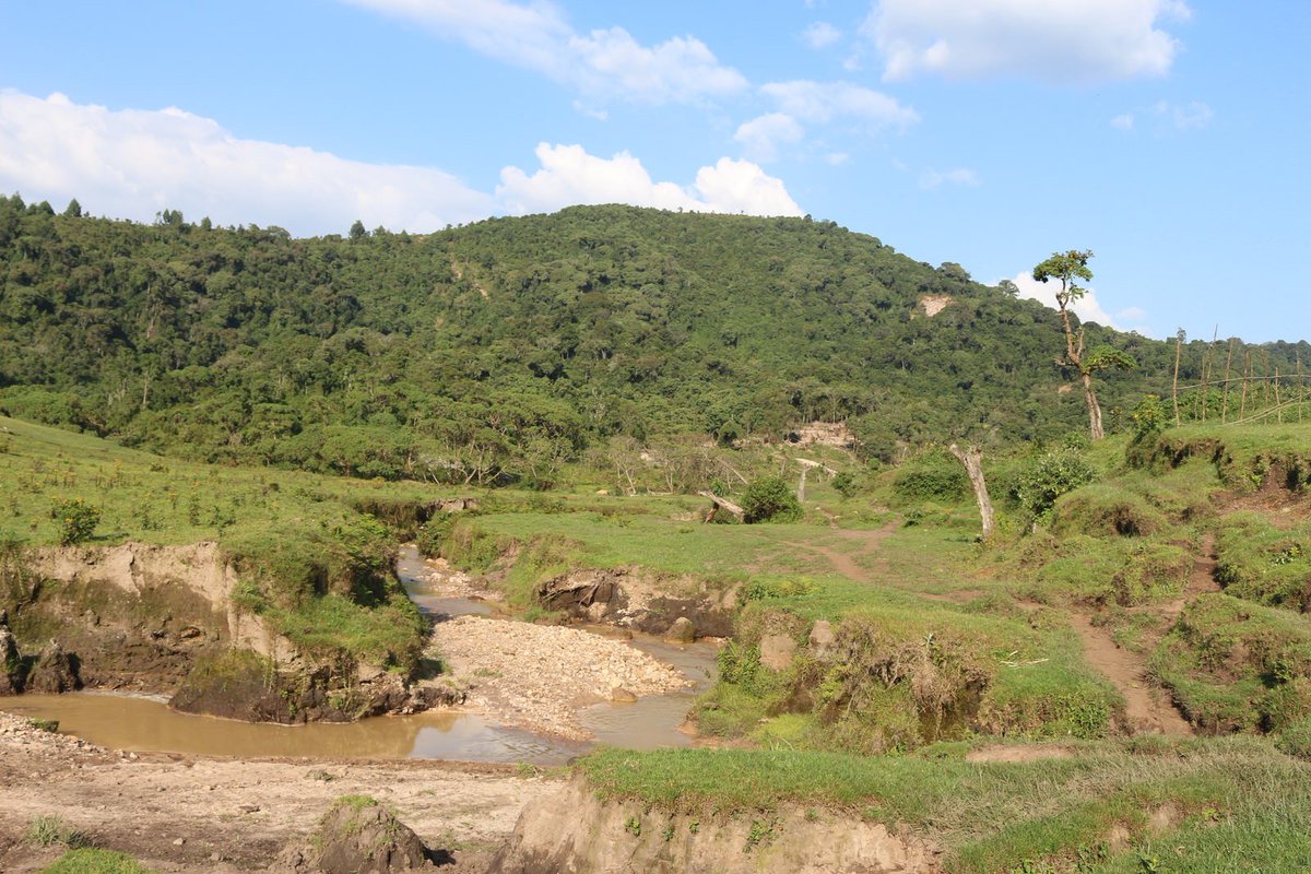 LAFRECProject's tweet photo. Aware of issues in #Mukura &amp;#Gishwati? Take a mini-tour with these photos https://t.co/sZgaxE4b4p #LAFREC #Rwanda https://t.co/YGWkH13qJf