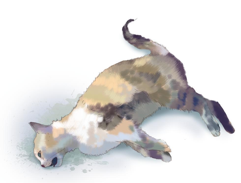 Embedded image permalink