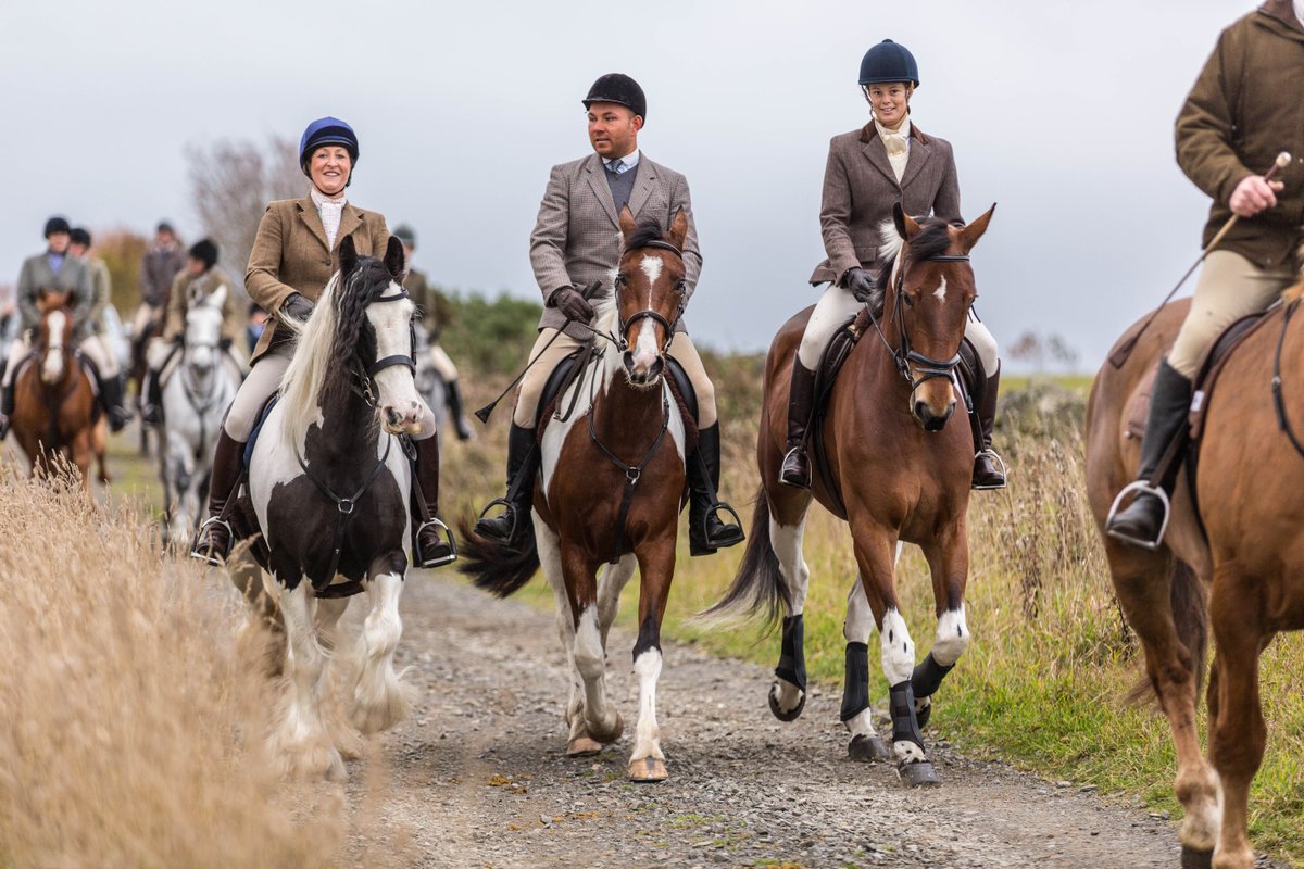 Gsxr1000UKKO's tweet photo. Braes of Derwent Hound Training @CAupdates @CAjilly @horseandhound @keephunting_
#hunting #hounds #ryanmania https://t.co/ajG4QbW8Lw