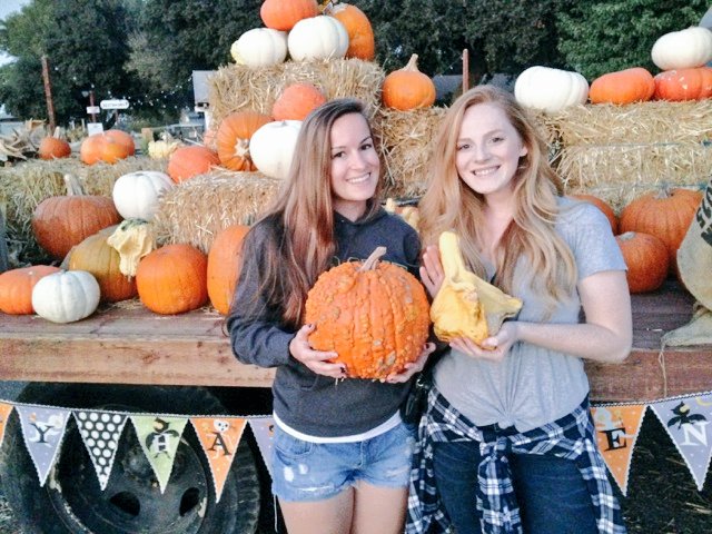 lalaforshort's tweet photo. 💕��🍂 Halloween funsies with my B #davespumpkinpatch #wartpumpkin https://t.co/xoA8DGB66W