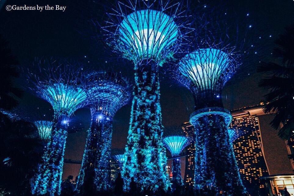 UNFCCC's tweet image. Singapore's #solar-powered "supertrees" were lit up in blue for the @UN's 70th birthday on Saturday #UN70