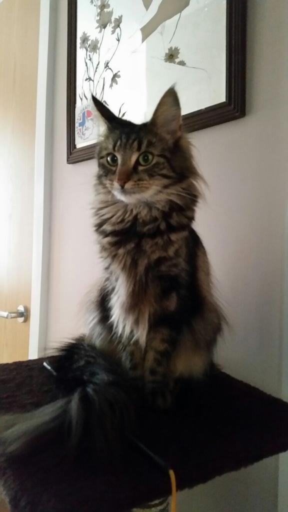 micrababe's tweet image. 