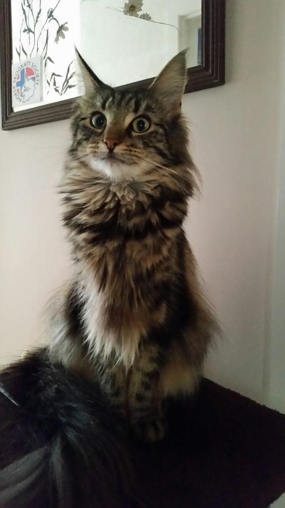 micrababe's tweet image. Look in to my eyes