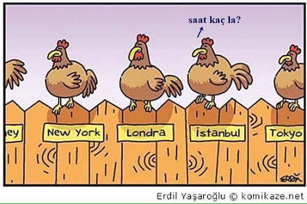 NevvalS's tweet photo. https://t.co/Q1pdOOT69j
