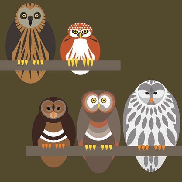 i_like_birds's tweet photo. Bird(s) of the day: Owl Quintet by I Like Birds #illustration #greetingcard #Birds #ilikeb… https://t.co/nlO8pWZwSr https://t.co/gM7rQfoGbM