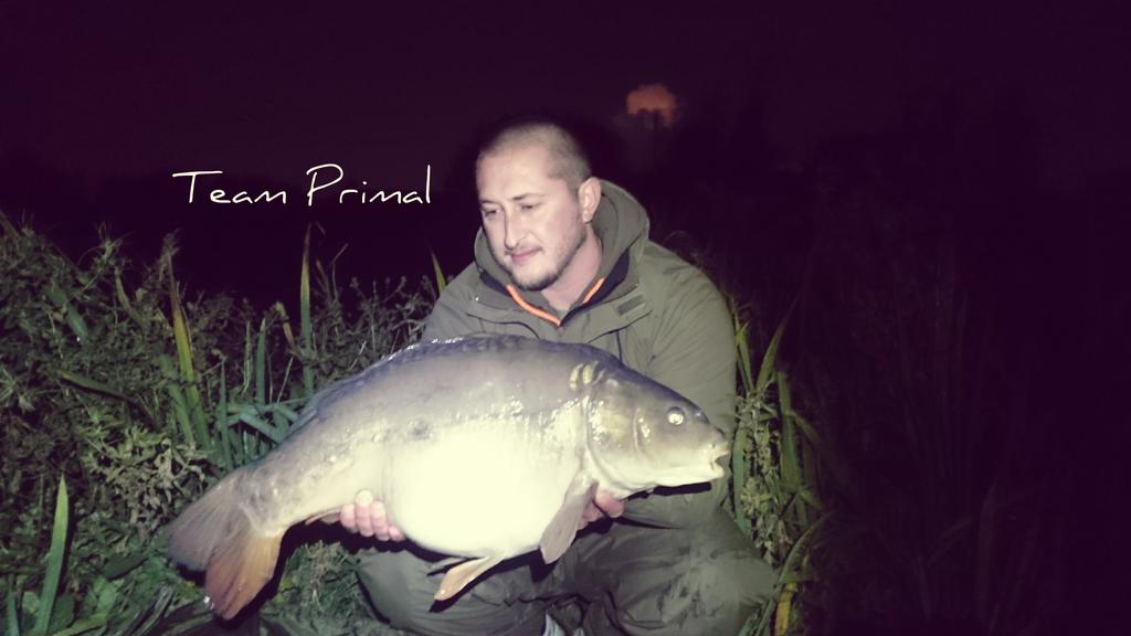 primal_team's tweet photo. New PB @ukfisheries @PiscatorMemorys @fantackletastic @TeamPrimal1 @teamprimal2 @carpkidd @CaptureBaits @pbefc 👍 https://t.co/e6U4xtUTX3