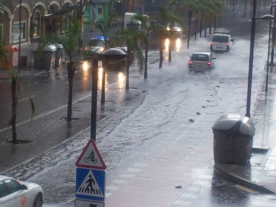 Consuelo Escudero tweet media