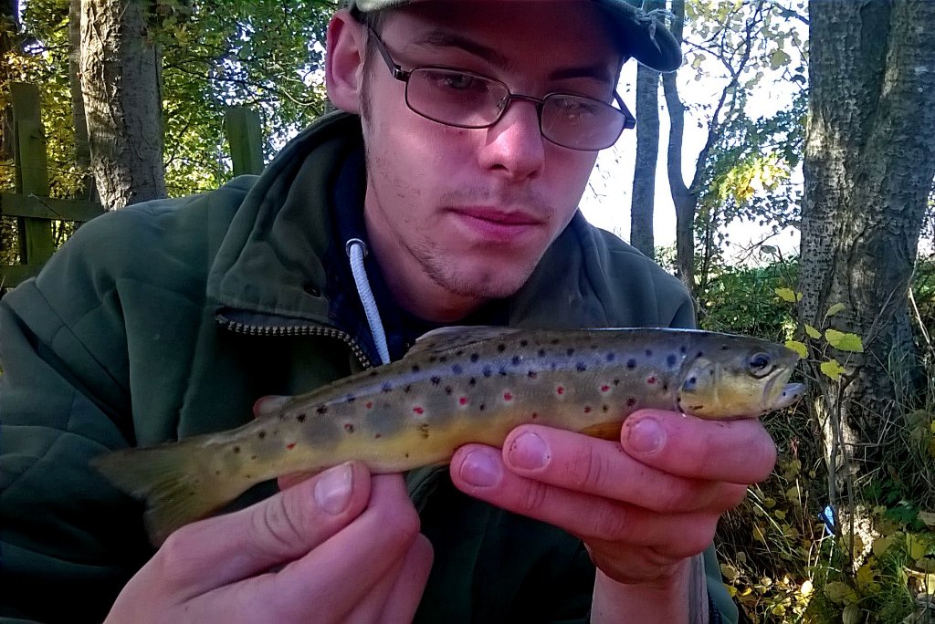speckywright's tweet photo. First wild brown trout for me #browntrout #riverfishing #wildbrowntrout #floatfishing #leicestershire https://t.co/13Gzvsqt1q