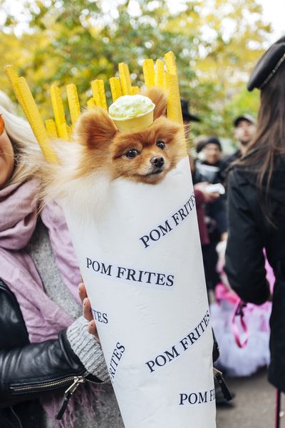 eileensutton's tweet photo. ahhh 🍟https://t.co/rsI2pH9I7p https://t.co/BKCn9p8hij