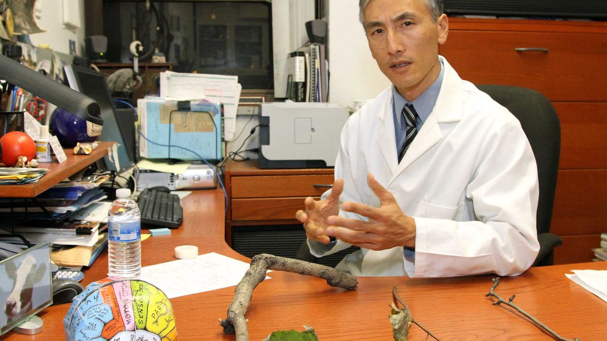 Study Finds Getting Smacked Right In The Mouth With A Goddamn Tree Branch Really Sucks onion.com/1PPCxft