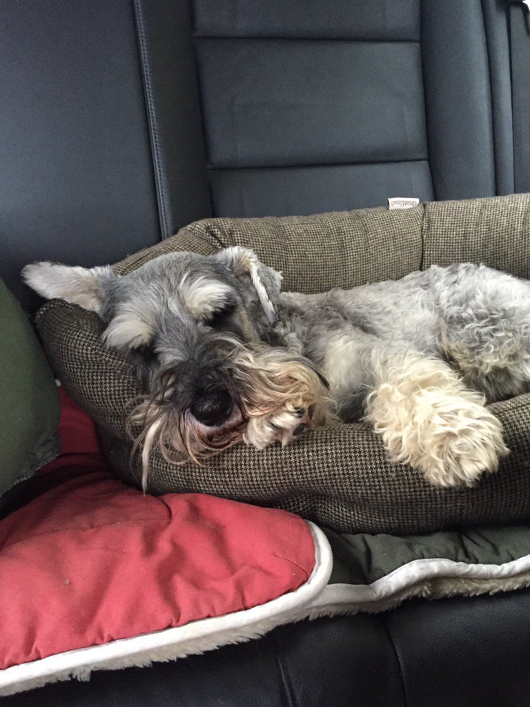 minialfiew's tweet photo. Are we there yet? https://t.co/HTDsI1syS9