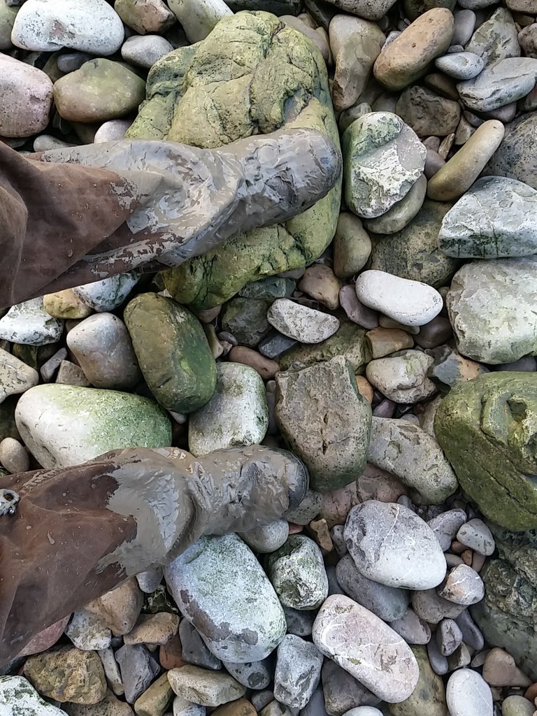 HuskyMSH's tweet photo. @suedewy Ummmmmm, dogs may be a bit dirty. https://t.co/QkkLLSEx3B