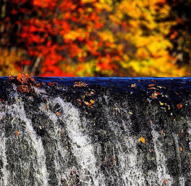 connecticutgram's tweet photo. Splash of foliage along Farmington River in Burlington. More at https://t.co/leoyfwsGYh and https://t.co/Bwh8SUdAxg. https://t.co/XnAiUPZ2PF