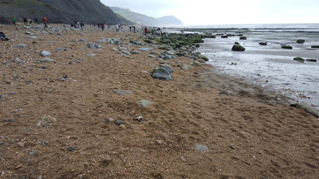 TheJurassica's tweet photo. The beach at #Charmouth ringing with the clink of hammers today...a spot of #half-term fossil collecting going on https://t.co/HFnM2fWGuc