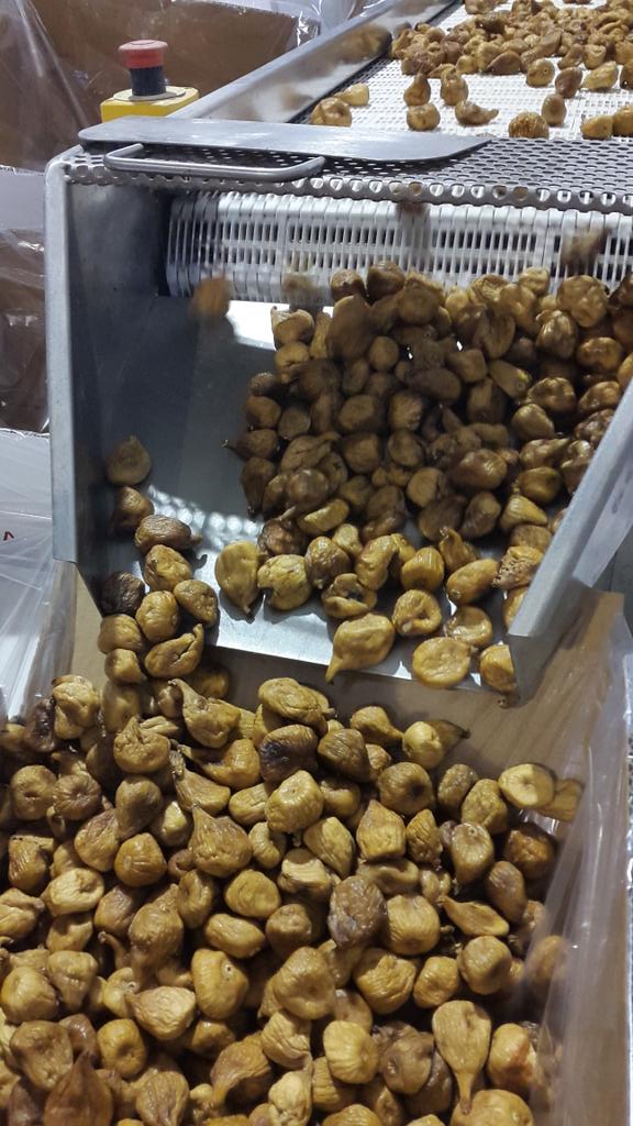 Proceso de envasado de higo seco