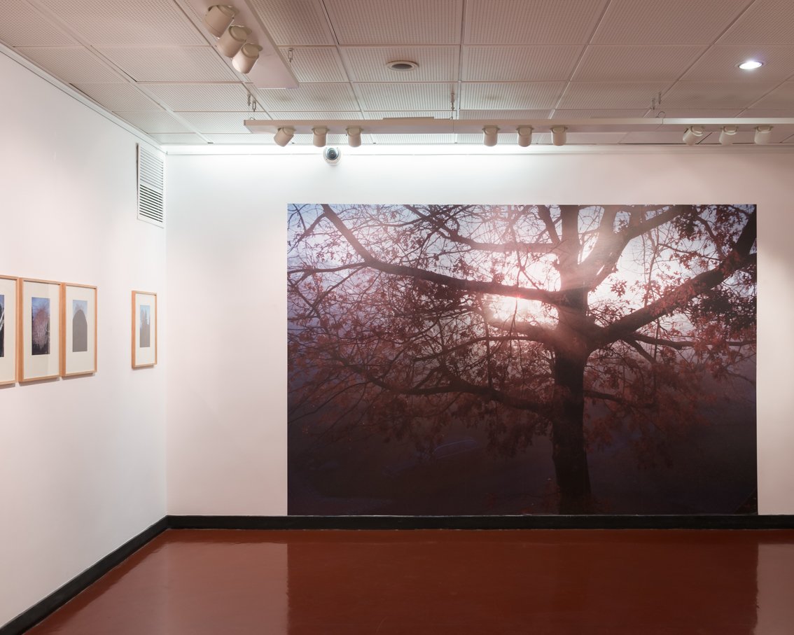 PBfotogroup's tweet photo. Derniers jours / Nur noch wenige Tage !
Expo GARTEN 

@GI_Paris 
17 Avenue de Iéna
75016 Paris, Métro Iéna https://t.co/xsDjaJIcAG