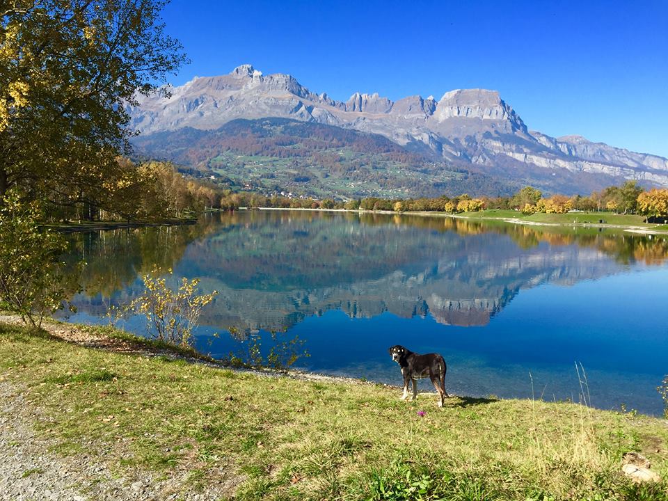 Beautiful Autumn in the Valley