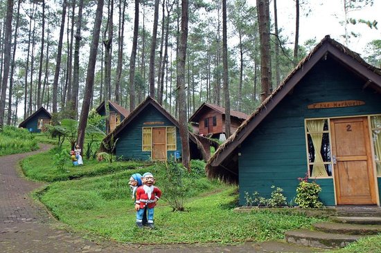 Wisata Kebun Petik Sendiri Strawberry di Bandung bit.ly/1JSSMBw #wisataBDG